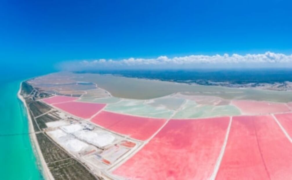 En Las Coloradas de Yucatán, ¿por qué el agua es rosa?