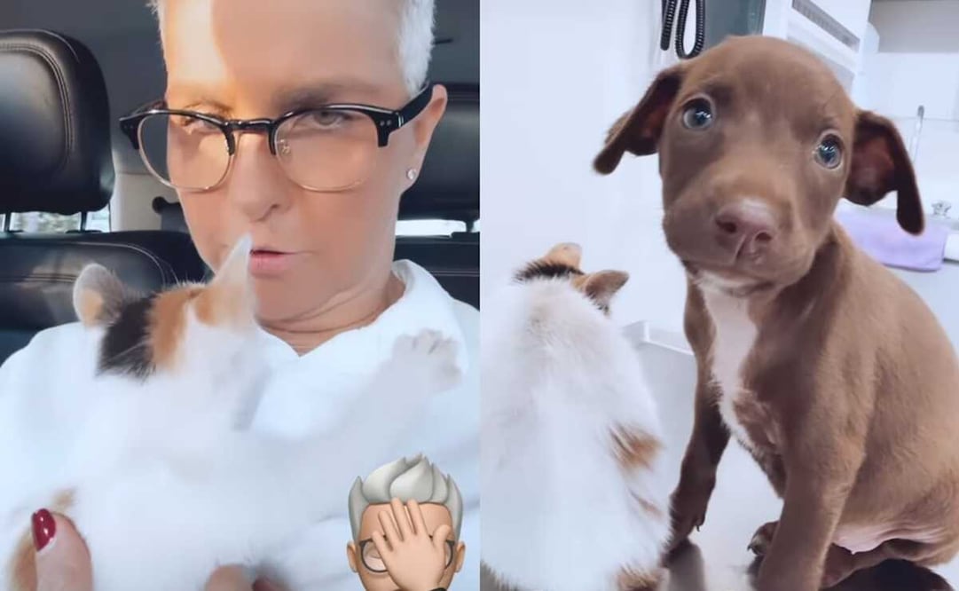 Foto: captura de pantalla 