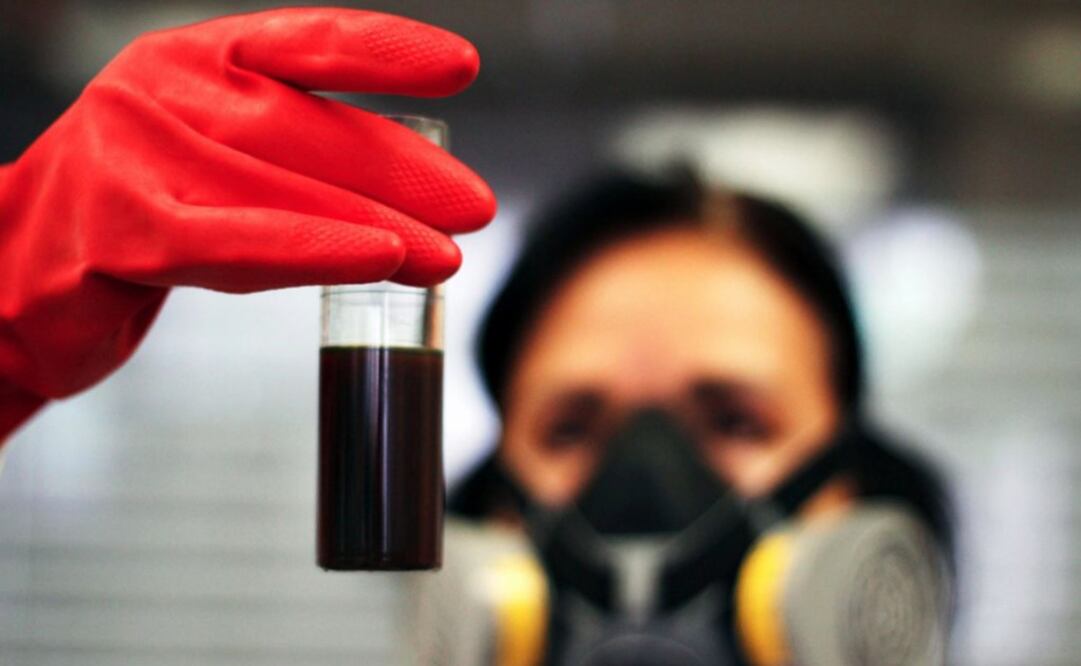 Over 119 species inhabit the area where the government will build a refinery - Photo: File Photo/EL UNIVERSAL