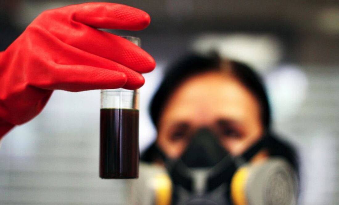 Over 119 species inhabit the area where the government will build a refinery - Photo: File Photo/EL UNIVERSAL