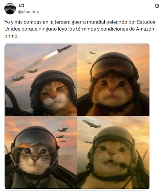 Memes de la Tercera Guerra Mundial. Foto: X