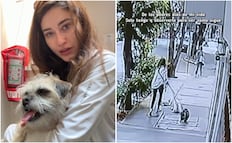 Fernanda Blaz revela estado de salud de su mascota tras caída; "De los peores días de mi vida", dice