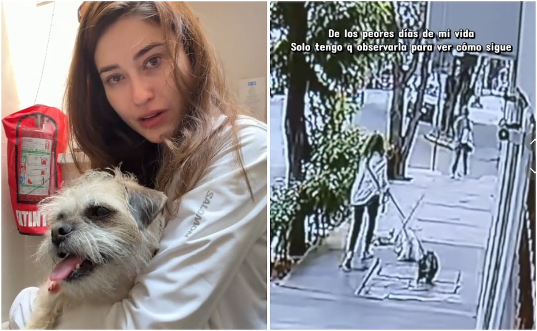 Fernanda Blaz muestra video del accidente de su perrita "Banana"; "De los peores días de mi vida", dice. Foto: Captura de pantalla (TikTok)