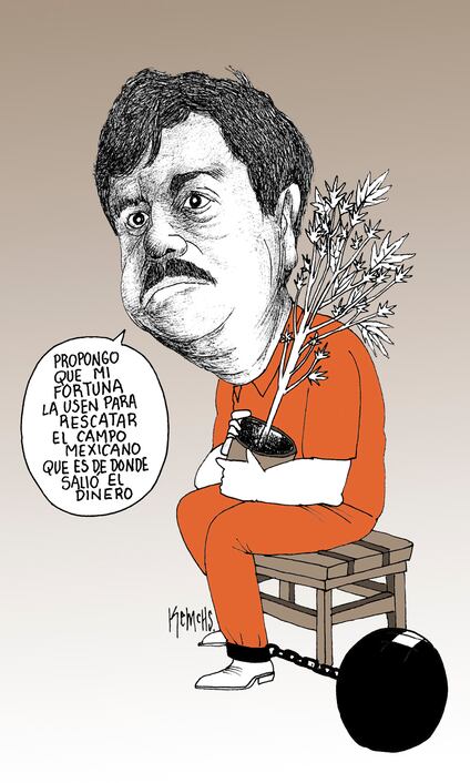 Campo mexicano productivo