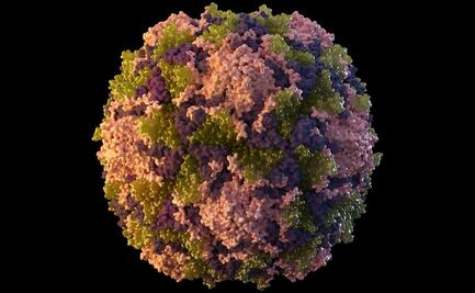 Nueva York alerta sobre posible “propagación comunitaria” de polio en aguas negras 