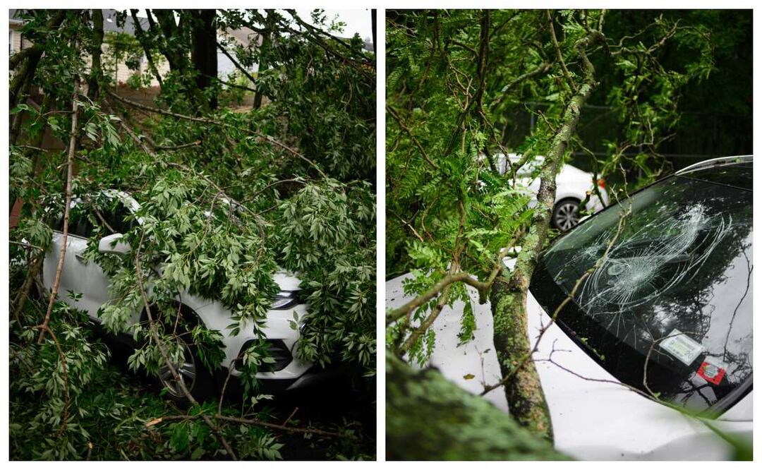 Los coches asegurados que fueron dañados por el huracán Otis podrán acceder a este apoyo. Imagen: Unsplash