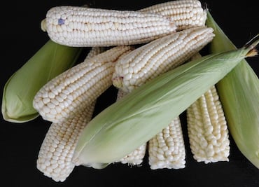 Cuáles son los ingredientes del chileatole