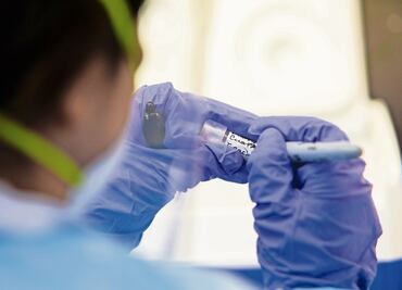 No existen riesgos de contagio de influenza aviar en México, afirma Secretaría de Salud