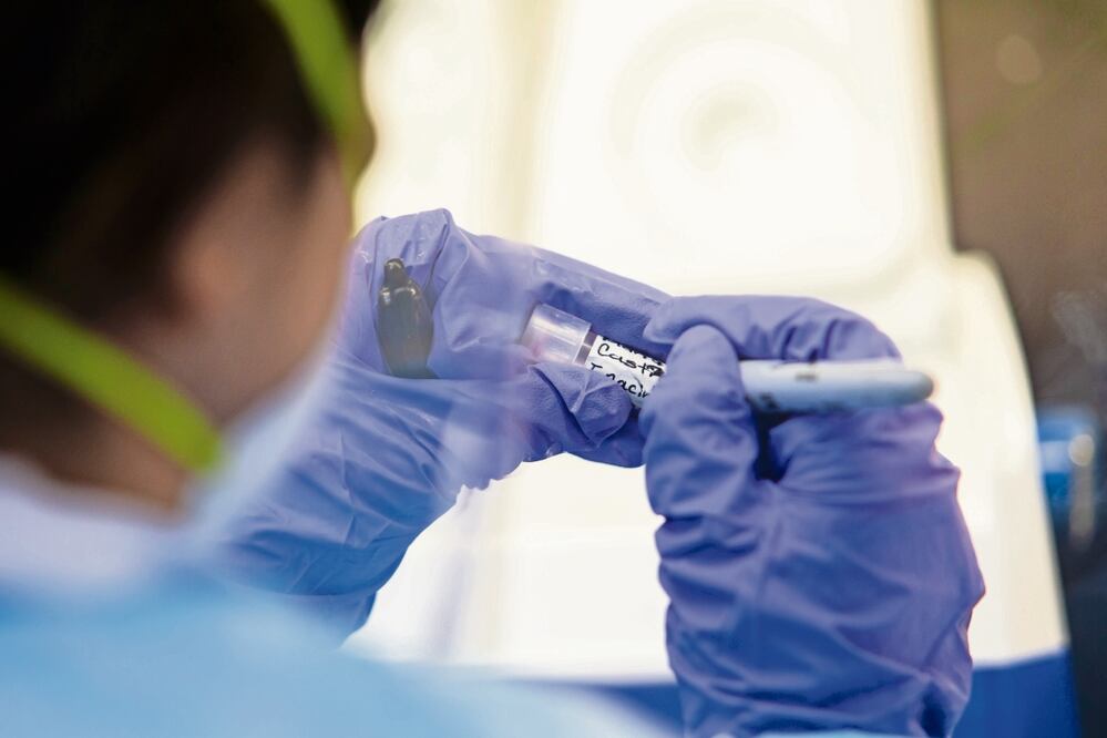 Imagen ilustrativa. Foto: Archivo/ EL UNIVERSAL