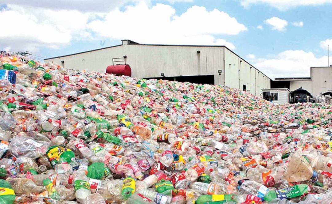 El grupo Óptico ICH es una joven empresa mexicana que fabrica armazones oftálmicos y solares hechos de PET. Foto: Archivo