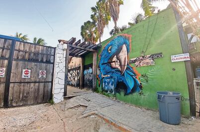 FBI ofrece colaborar en el caso Blue Parrot