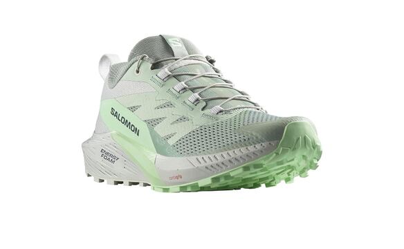 🛒 Compra aquí: Salomon Sense Ride 5 