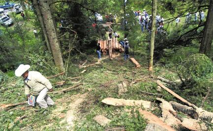 Proponen prisión preventiva oficiosa por devastación forestal y tala de árboles clandestina