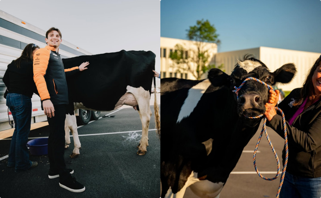 Foto: @arrowmclaren en Instagram