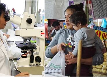 8M: Los 8 datos que debes conocer sobre el papel de la mujer en la economía mexicana