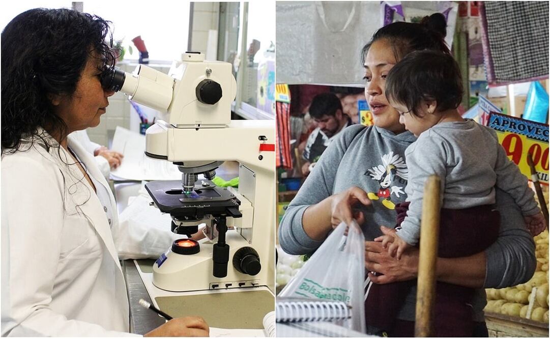 En México, una de cada cuatro mujeres ocupadas tiene un negocio. Foto: Pixabay