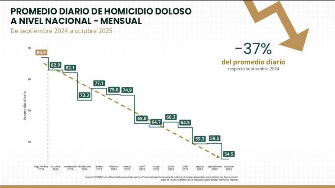 Promedio diario de homicidio dolodo a nivel nacional - mensual. Foto: especial
