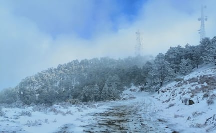 Nieve "pinta" de blanco la zona montañosa del sur de Nuevo León