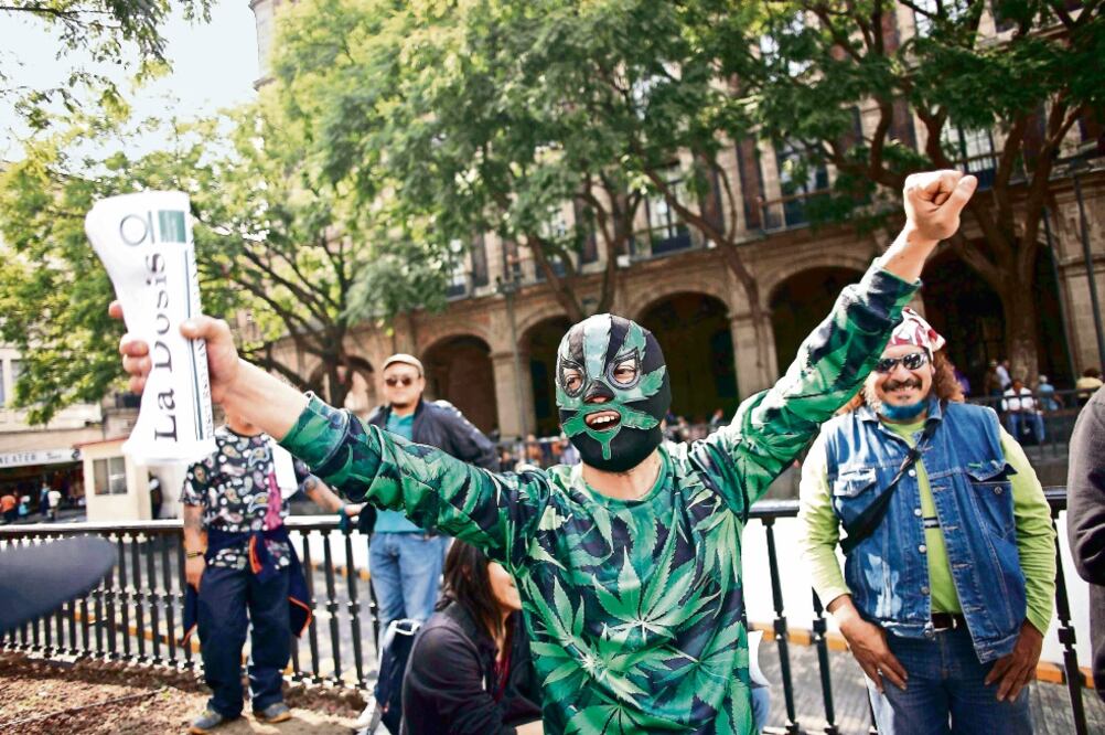 Diversos sectores de la sociedad reciben con beneplácito la iniciativa del presidente Enrique Peña Nieto para no criminalizar la portación de la yerba (ARCHIVO EL UNIVERSAL)