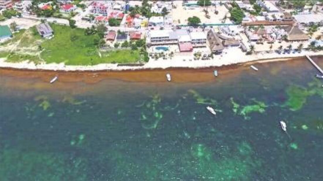 Sargazo pega a playas mexicanas y al turismo