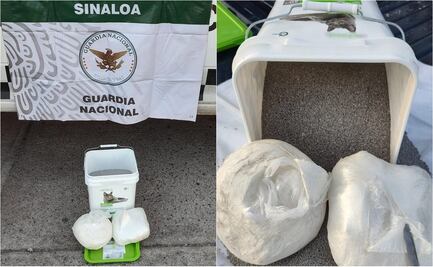 Binomios caninos detectan paquetes de metanfetamina oculta en arena para gato en Sinaloa