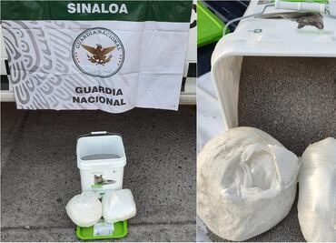 Binomios caninos detectan paquetes de metanfetamina oculta en arena para gato en Sinaloa