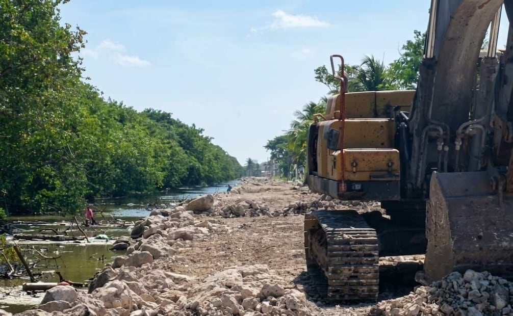 Vecinos denuncian tala de manglar en Progreso, Yucatán; piden investigar presunto daño ambiental.
Foto: Especial.