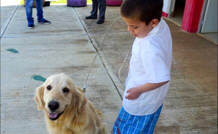 Oliver, un compañero ideal en la educación especial