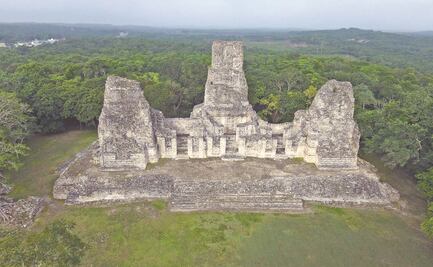 Sin beneficios, Tren Maya en selva protegida