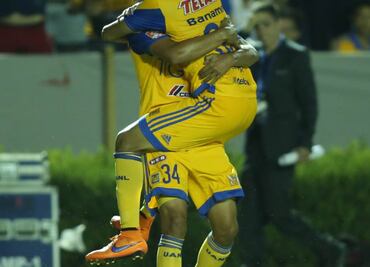 Tigres por poco se lleva susto en su casa