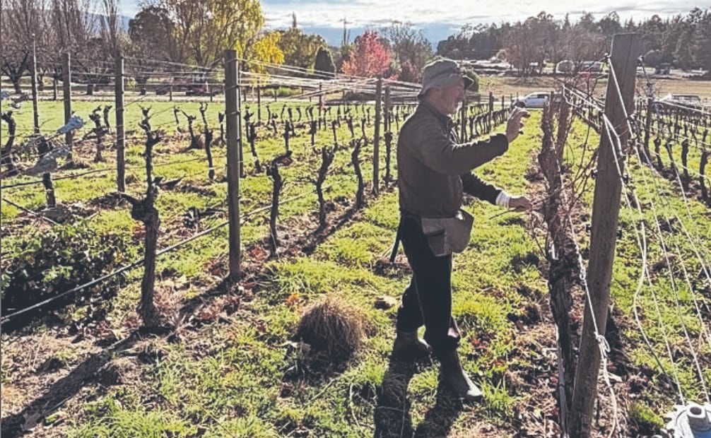 Disfrutaba la vida de campo y la poda de su sus terrenos. Foto: Instagram