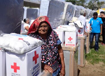 Cruz Roja transparentará 594 mdp de donativos por sismos