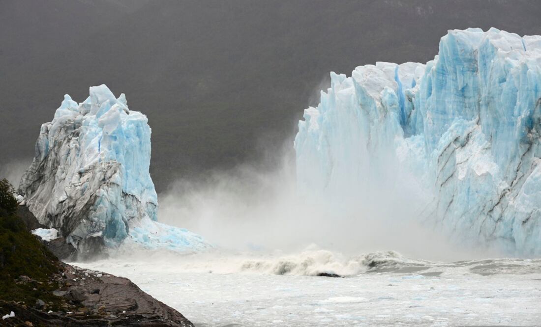 En la Patagonia la interacción entre el impacto humano y el cambio climático provocaron la extinción de especies como el oso de cara cortada y el gato de dientes de sable. FOTO: Archivo/ EL UNIVERSAL
