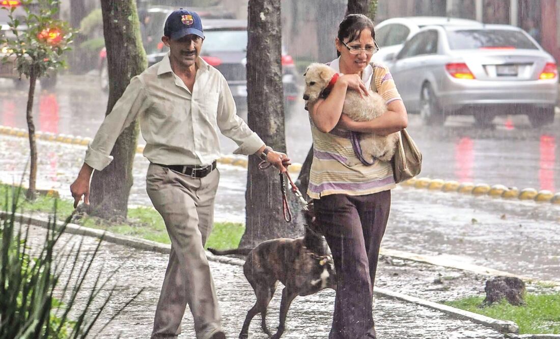 Fotografía: Archivo