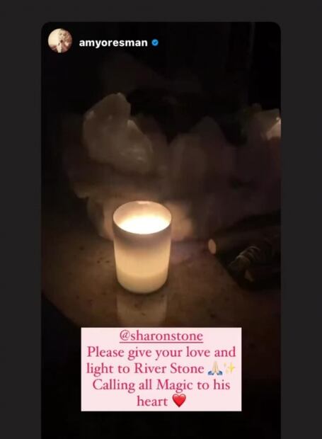 Sharon Stone está desolada, pide oraciones por la salud de su sobrino de 11 meses