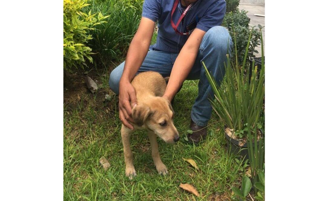 Foto: Tomada de Secretaría de Infraestructura y Servicios Públicos del Municipio de Puebla