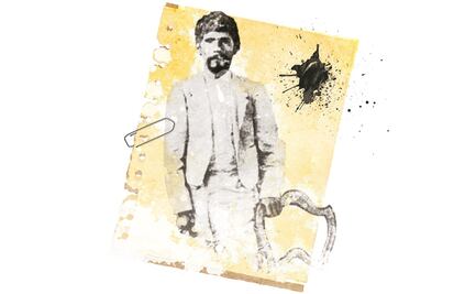 El tigre de la casa II