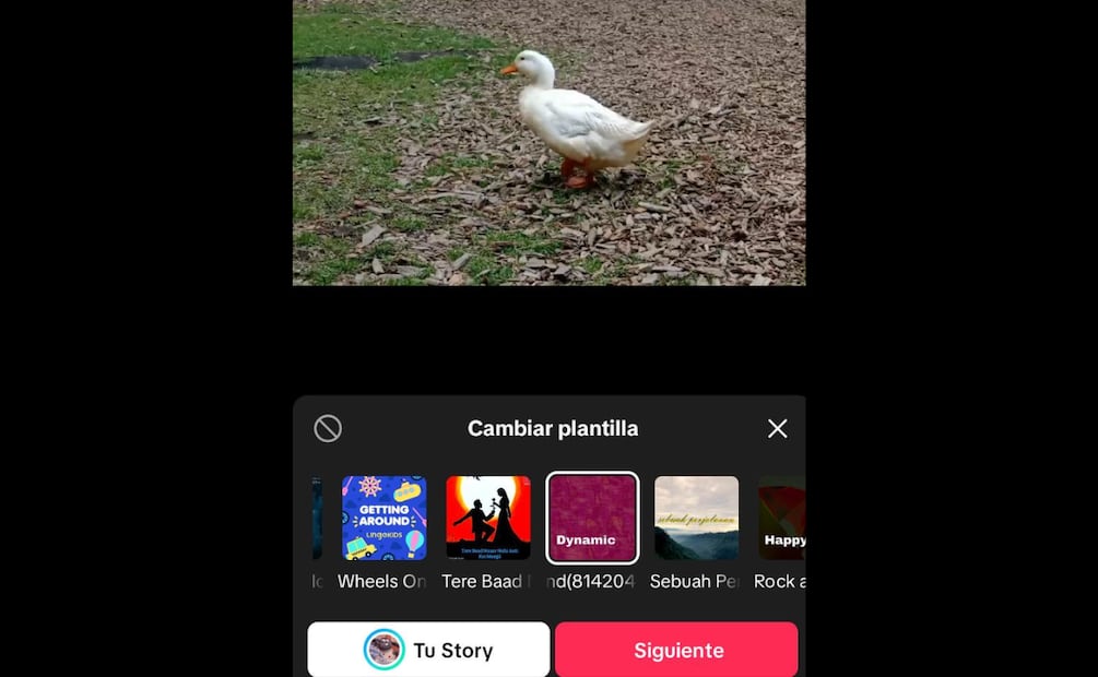 Con tus videos editados y publicados en esta app, puedes ganarte un dinerito extra. Foto: Captura de pantalla