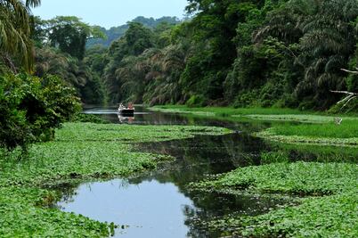 Guía de viaje para ser feliz en Costa Rica