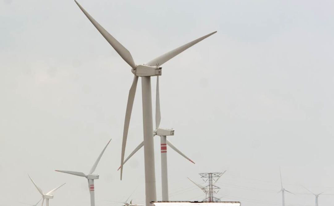 El premio consistió en un certificado y la publicación de los resultados. Foto: 