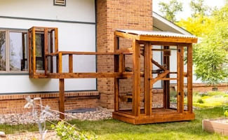 ¿Qué es un “catio”?; la instalación para gatos que se volvió viral en redes