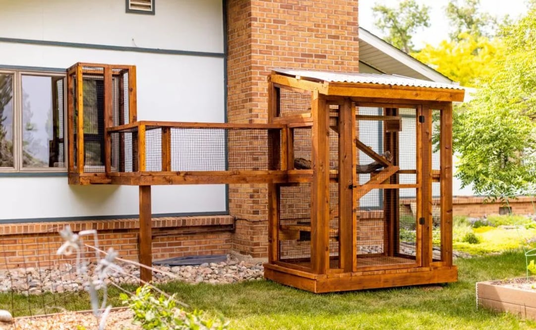 Conoce qué es un "catio", una instalación especializada para gatos que se populariza entre los dueños de estos felinos. Foto: The Cat Topia