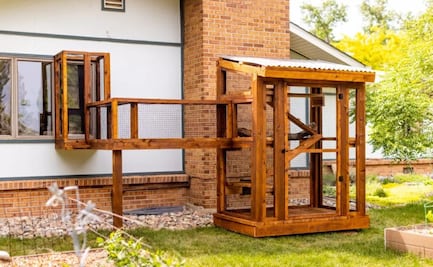 ¿Qué es un “catio”?; la instalación para gatos que se volvió viral en redes