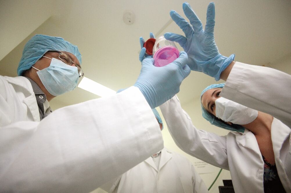 Re colección. El banco de células madre tiene mil 400 unidades seleccionadas bajo los estándares de calidad que se requieren (ARCHIVO. EL UNIVERSAL)