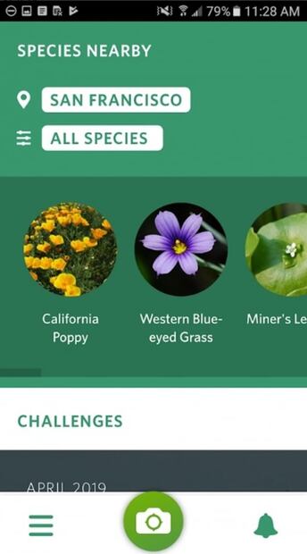 Conoce el "Shazam" de las plantas y animales