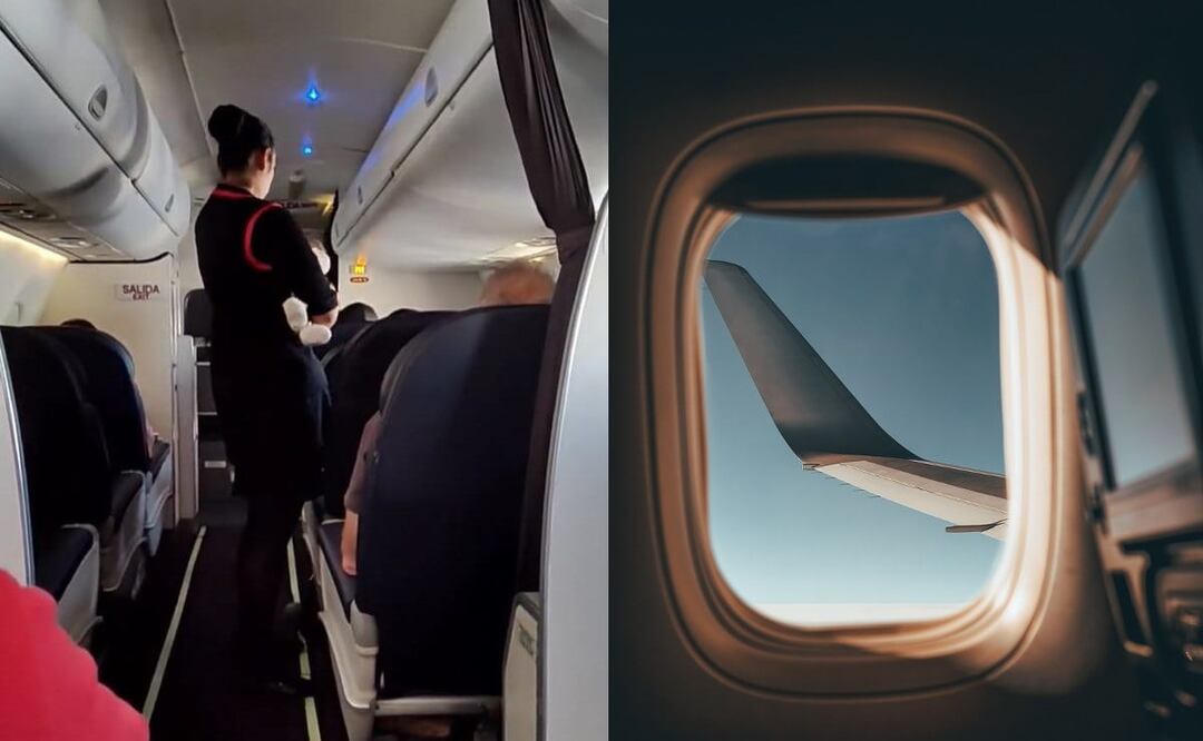 La sobrecargo fue captada en video por uno de los pasajeros del avión. / Foto: Captura de video Twitter @mapo_portillo y Pixabay.