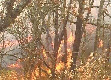 Controlan en su totalidad incendio en el Tepozteco