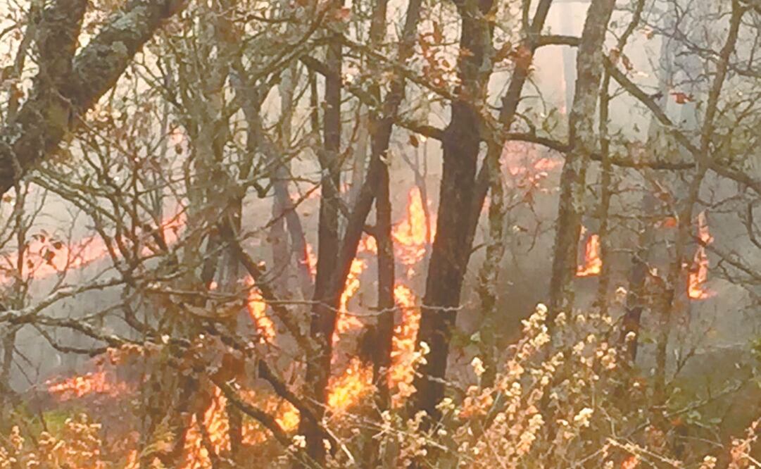En Santa Rosa, Michoacán, se ha sofocado 40% del incendio. Foto: ESPECIAL