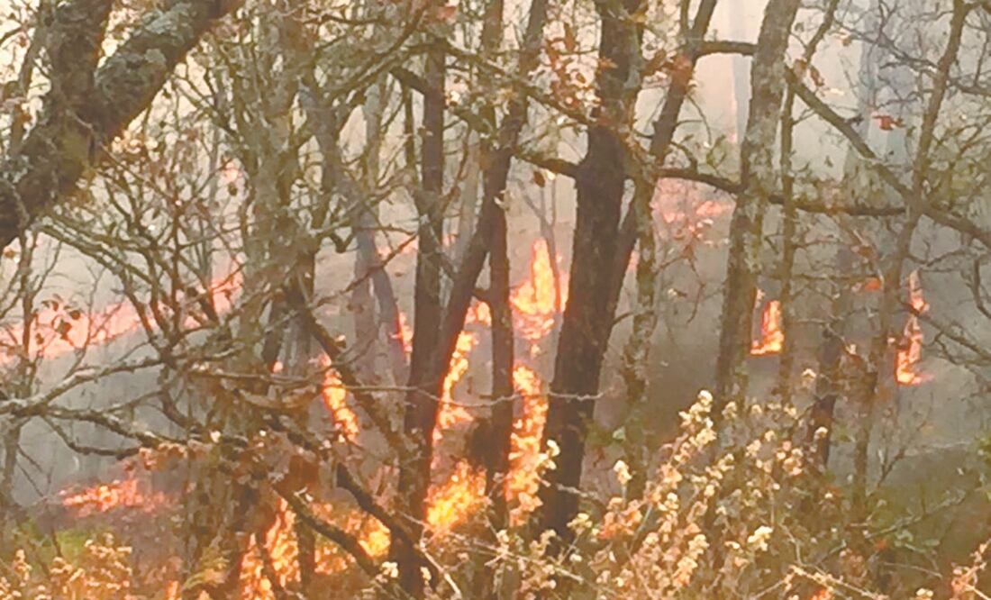 En Santa Rosa, Michoacán, se ha sofocado 40% del incendio. Foto: ESPECIAL
