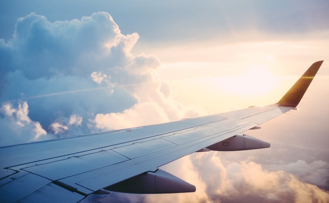 Foto: Unsplash/ Ross Parmly